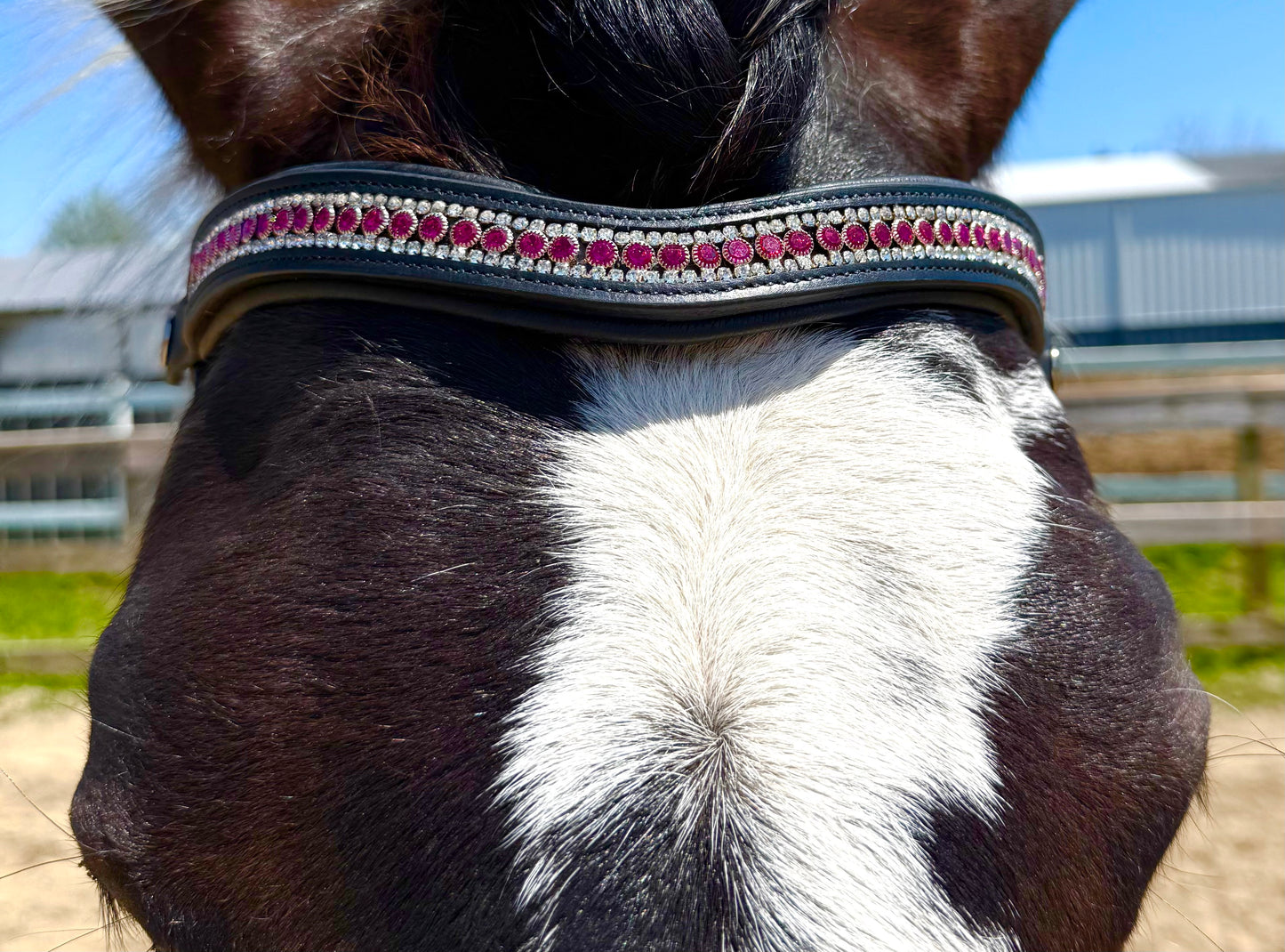 Magic Magenta Snap-Out Browband
