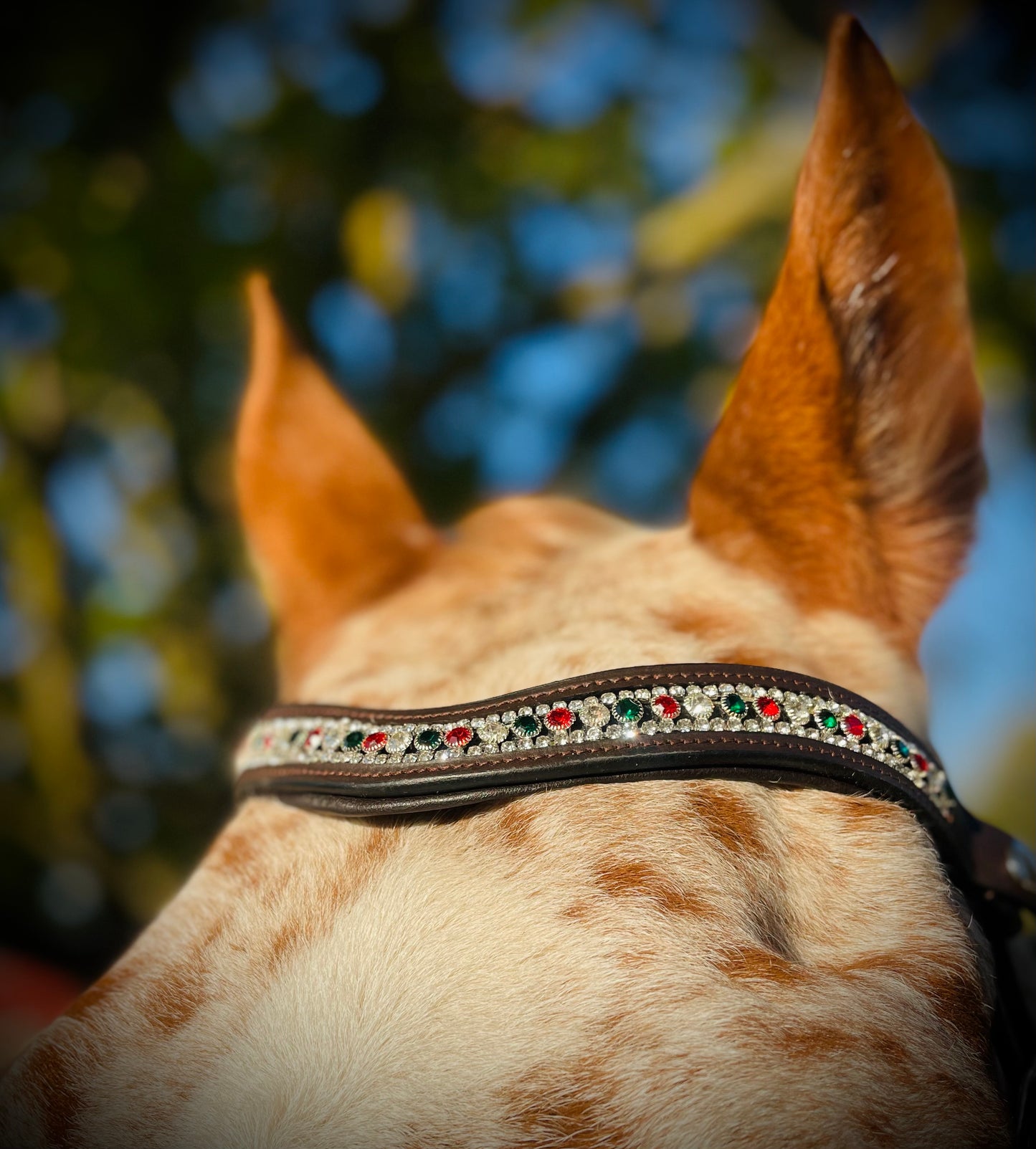 Holiday Cheer Snap-Out Browband