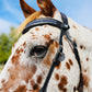 FS Schooler Bridle