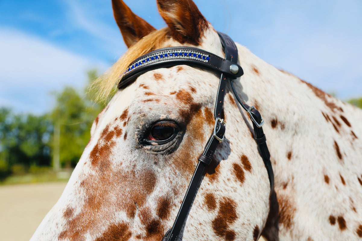 FS Schooler Bridle