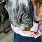 Free Spirit-Sugar Scrub