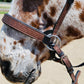 Wanderlust Bitless Bridle