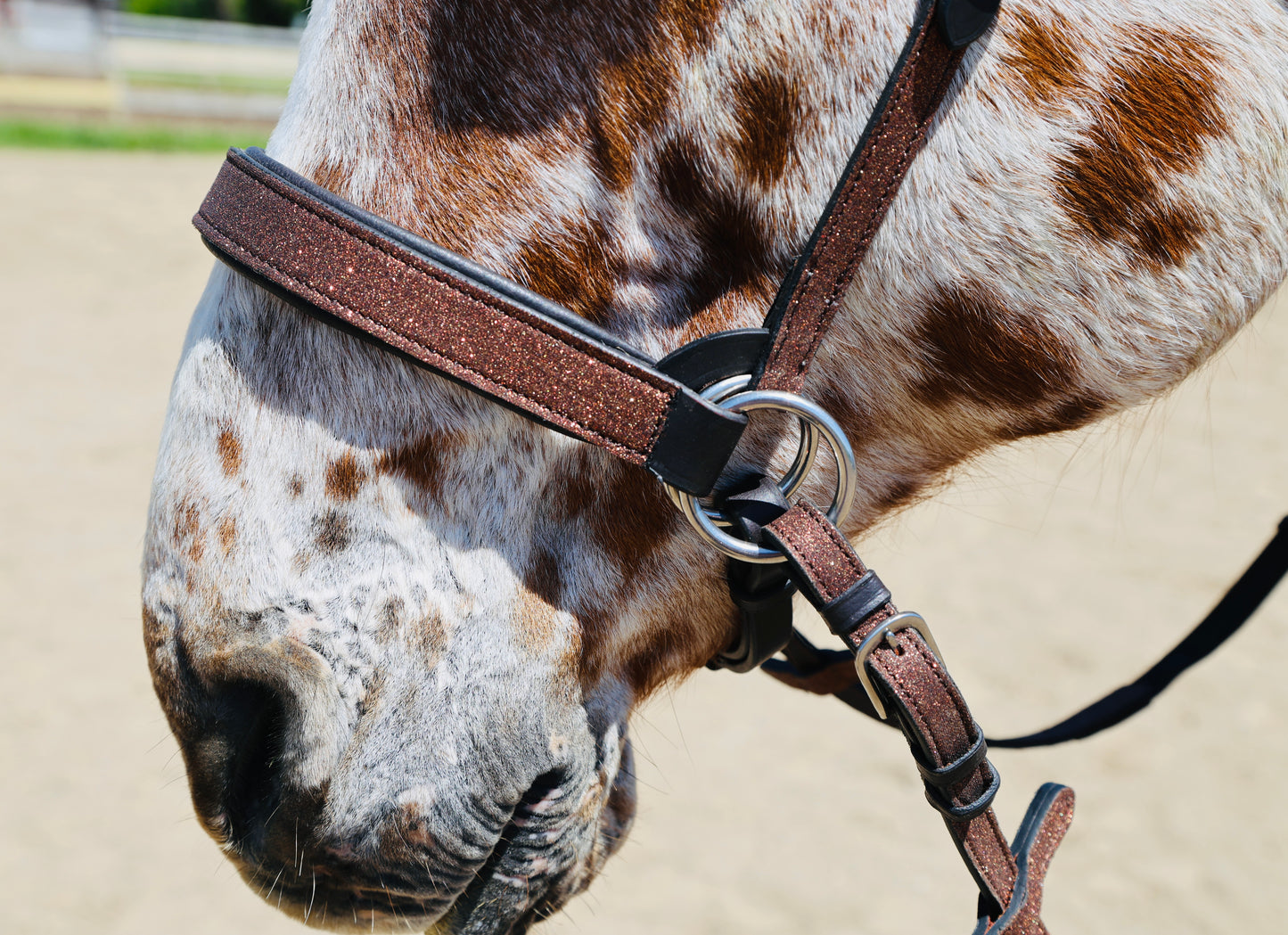 Wanderlust Bitless Bridle