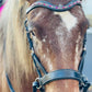 Fabulous Fuchsia Snap-Out Browband