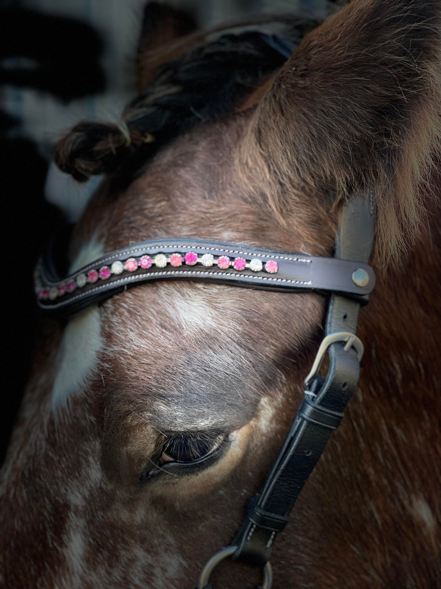 Rosy Pink Snap-Out Browband
